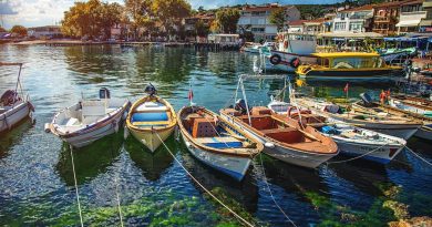 بویوک‌آدا؛ جزیره‌ای بدون ماشین که قدم‌زدن در خیابان‌هایش آدم را به گذشته می‌برد!